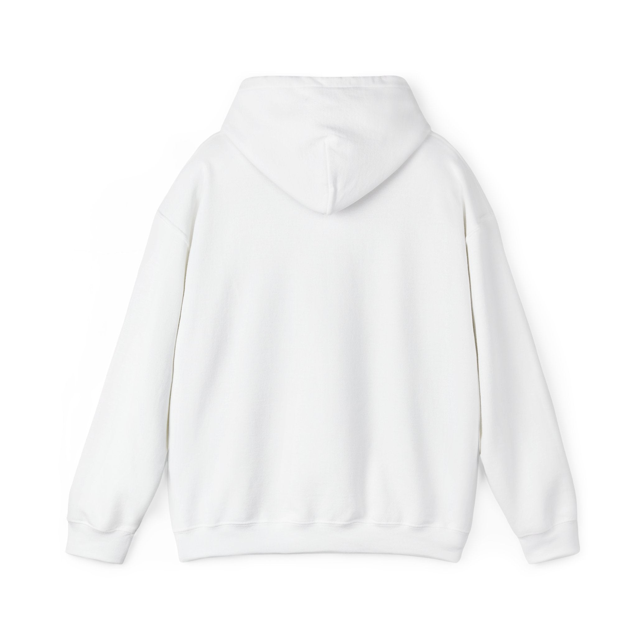 No Payne No Gain Standard Hoodie