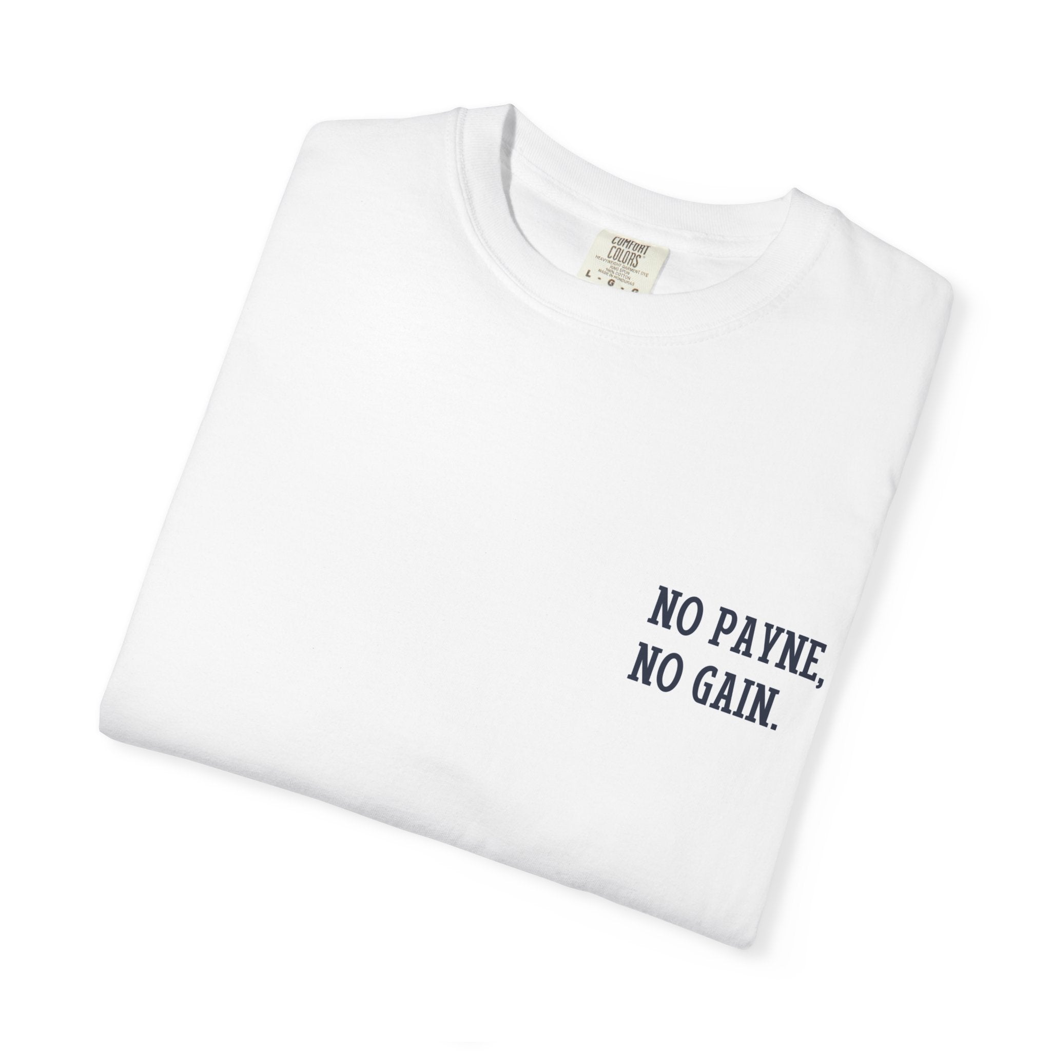 No Payne No Gain Subtle Tshirt